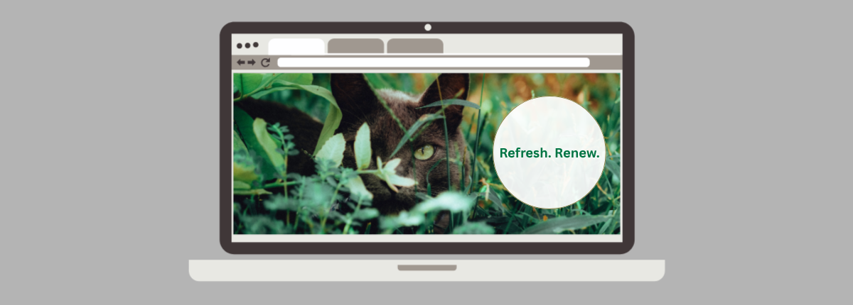 Website Redesign Guide: How to Revamp Your Website